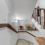 فيلة Casa Betania سانتا كروز